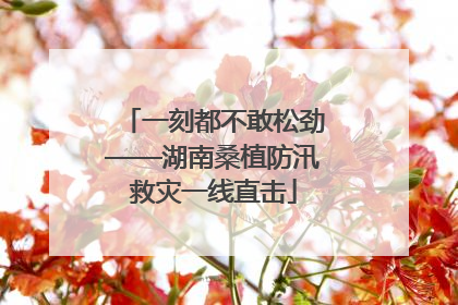 一刻都不敢松劲——湖南桑植防汛救灾一线直击