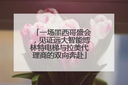 一场墨西哥盛会，见证远大智能博林特电梯与拉美代理商的双向奔赴