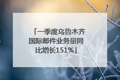 一季度乌鲁木齐国际邮件业务量同比增长151%