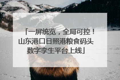 一屏统览，全局可控！山东港口日照港粮食码头数字孪生平台上线