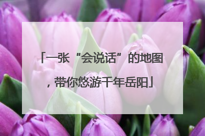 一张“会说话”的地图，带你悠游千年岳阳