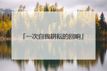 一次自我耕耘的回响