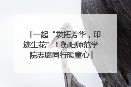 一起“袋拓芳华，印迹生花”！衡阳师范学院志愿同行暖童心