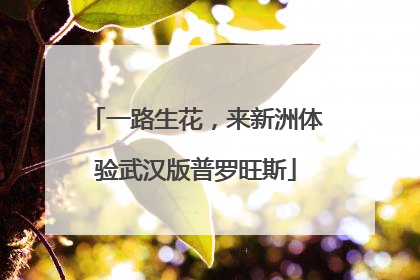 一路生花，来新洲体验武汉版普罗旺斯