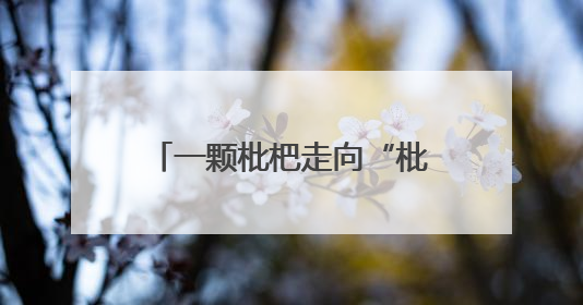 一颗枇杷走向“枇杷+” 山海资源成为“聚宝盆”