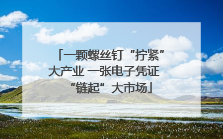 一颗螺丝钉“拧紧”大产业 一张电子凭证“链起”大市场