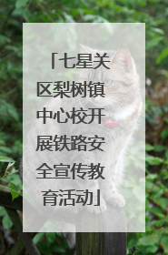 七星关区梨树镇中心校开展铁路安全宣传教育活动