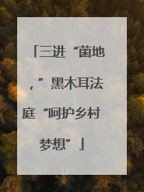 三进“菌地，”黑木耳法庭“呵护乡村梦想”