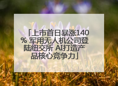 上市首日暴涨140% 军用无人机公司登陆纽交所 AI打造产品核心竞争力