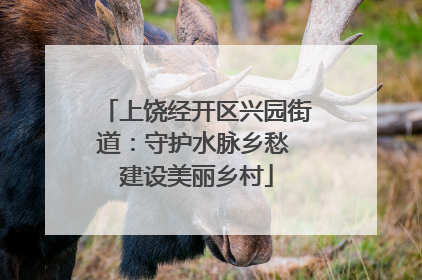 上饶经开区兴园街道：守护水脉乡愁 建设美丽乡村