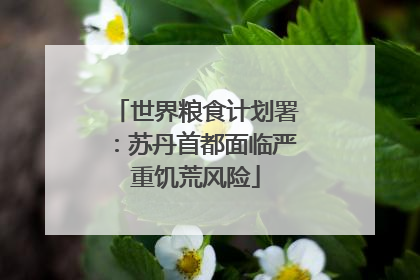 世界粮食计划署：苏丹首都面临严重饥荒风险