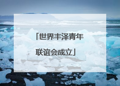 世界丰泽青年联谊会成立