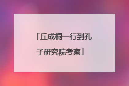 丘成桐一行到孔子研究院考察