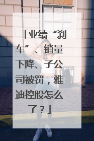 业绩“刹车”、销量下降、子公司被罚，雅迪控股怎么了？