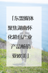 东盟媒体聚焦湖南怀化箱包产业 产品畅销亚欧美