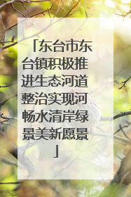 东台市东台镇积极推进生态河道整治实现河畅水清岸绿景美新愿景