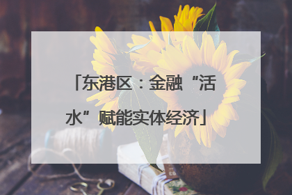 东港区：金融“活水”赋能实体经济