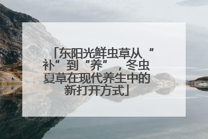 东阳光鲜虫草从“补”到“养”，冬虫夏草在现代养生中的新打开方式
