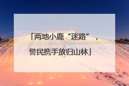 两地小鹿“迷路”，警民携手放归山林