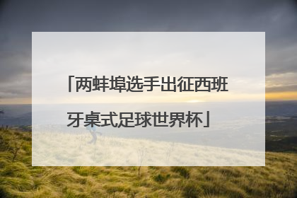 两蚌埠选手出征西班牙桌式足球世界杯
