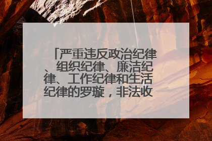 严重违反政治纪律、组织纪律、廉洁纪律、工作纪律和生活纪律的罗璇，非法收受他人巨额财物
