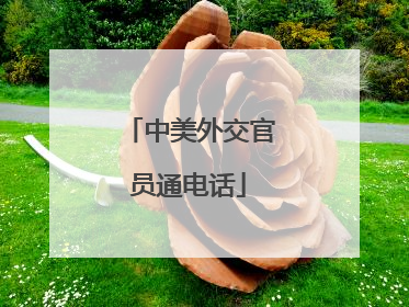 中美外交官员通电话