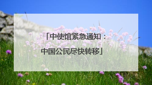 中使馆紧急通知：中国公民尽快转移