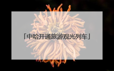 中哈开通旅游观光列车