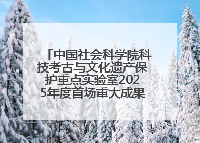中国社会科学院科技考古与文化遗产保护重点实验室2025年度首场重大成果发布会在京举行