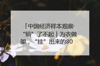 中国经济样本观察·“镇”了不起｜为衣做架，“挂”出来的80亿元“衣架产业”