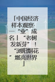 中国经济样本观察·一“业”成名丨“老树发新芽”！“浏阳烟花”燃亮世界