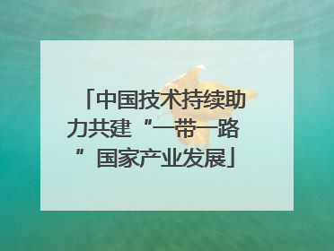 中国技术持续助力共建“一带一路”国家产业发展