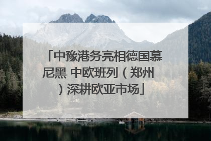 中豫港务亮相德国慕尼黑 中欧班列（郑州）深耕欧亚市场