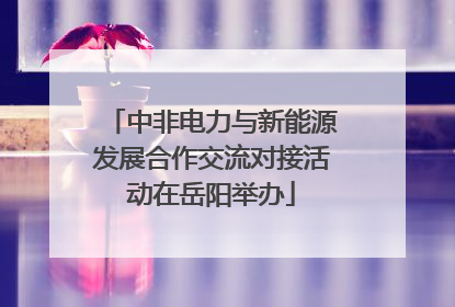 中非电力与新能源发展合作交流对接活动在岳阳举办