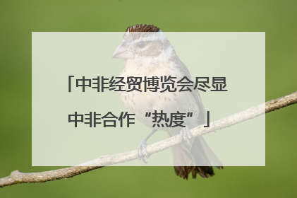 中非经贸博览会尽显中非合作“热度”
