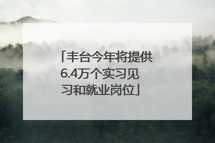 丰台今年将提供6.4万个实习见习和就业岗位