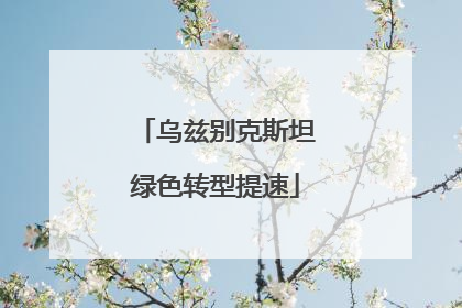 乌兹别克斯坦绿色转型提速