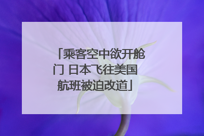 乘客空中欲开舱门 日本飞往美国航班被迫改道