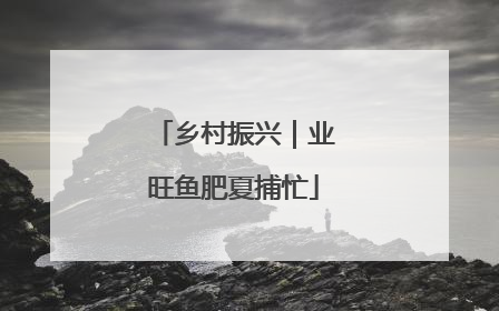 乡村振兴｜业旺鱼肥夏捕忙