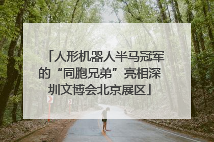 人形机器人半马冠军的“同胞兄弟”亮相深圳文博会北京展区