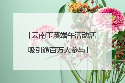 云南玉溪端午活动活吸引逾百万人参与