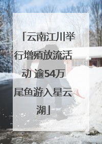 云南江川举行增殖放流活动 逾54万尾鱼游入星云湖