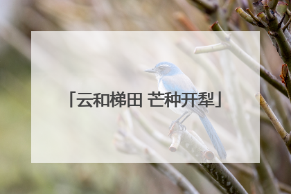 云和梯田 芒种开犁