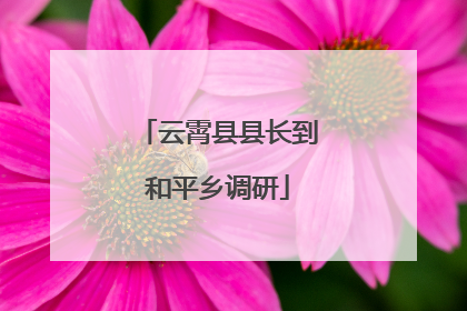 云霄县县长到和平乡调研