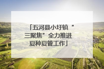 五河县小圩镇“三聚焦”全力推进夏种夏管工作
