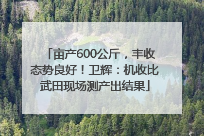 亩产600公斤，丰收态势良好！卫辉：机收比武田现场测产出结果