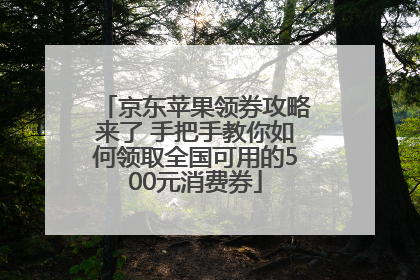 京东苹果领券攻略来了 手把手教你如何领取全国可用的500元消费券