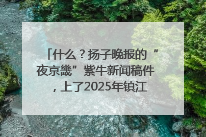 什么？扬子晚报的“夜京畿”紫牛新闻稿件，上了2025年镇江中考模拟卷！