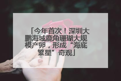 今年首次！深圳大鹏海域鹿角珊瑚大规模产卵，形成“海底繁星”奇观