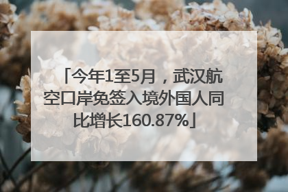 今年1至5月，武汉航空口岸免签入境外国人同比增长160.87%